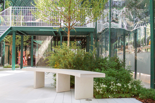 ������ ������