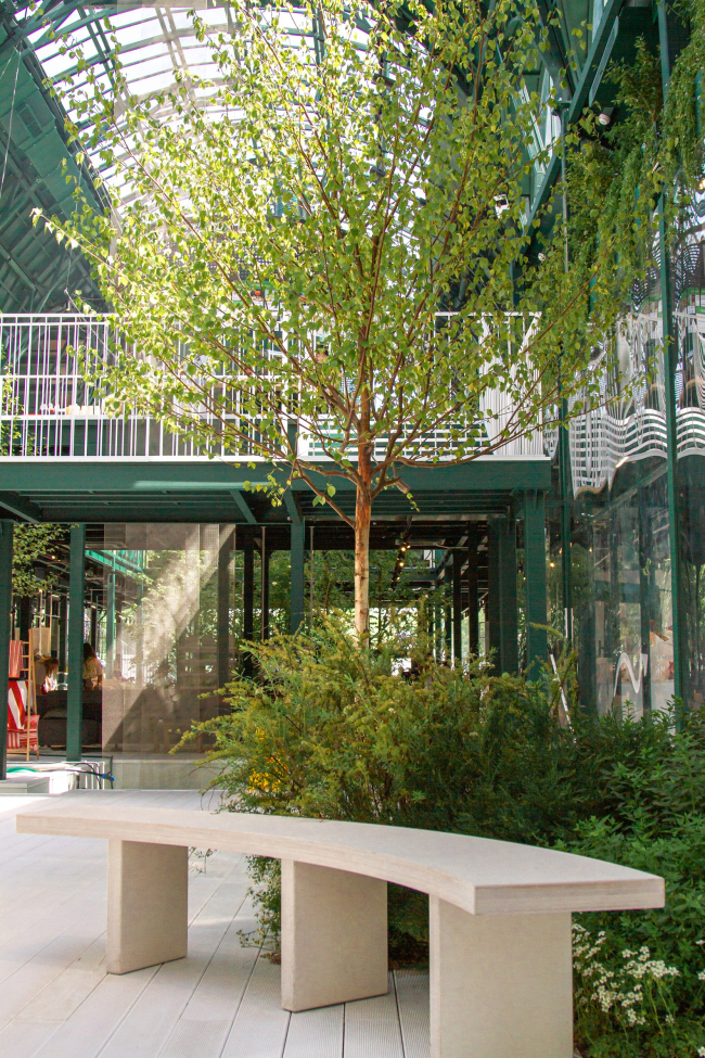 ������ ������