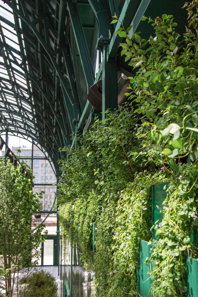 ������ ������