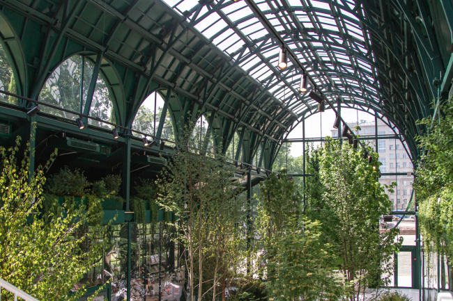 ������ ������