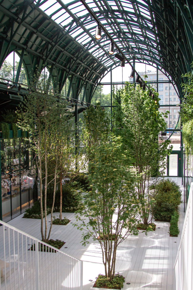 ������ ������