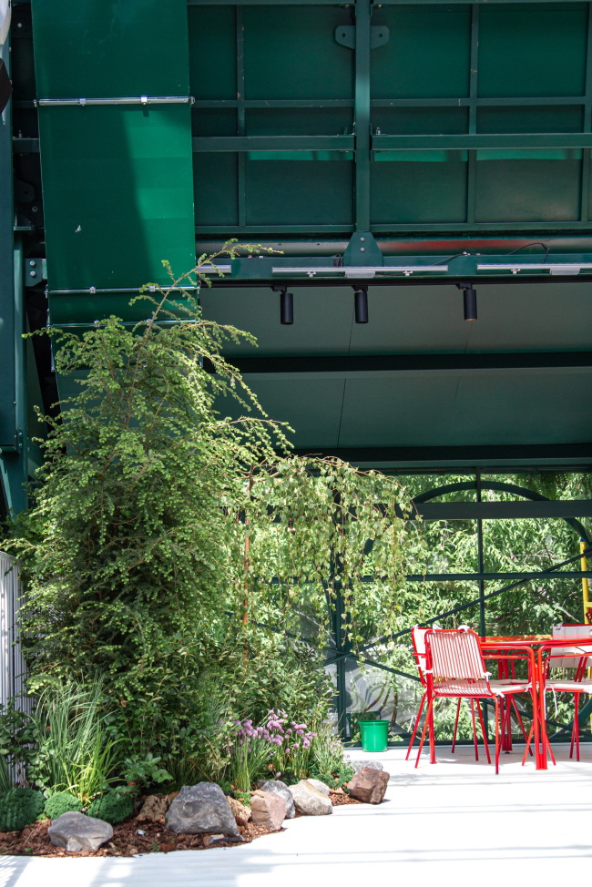 ������ ������