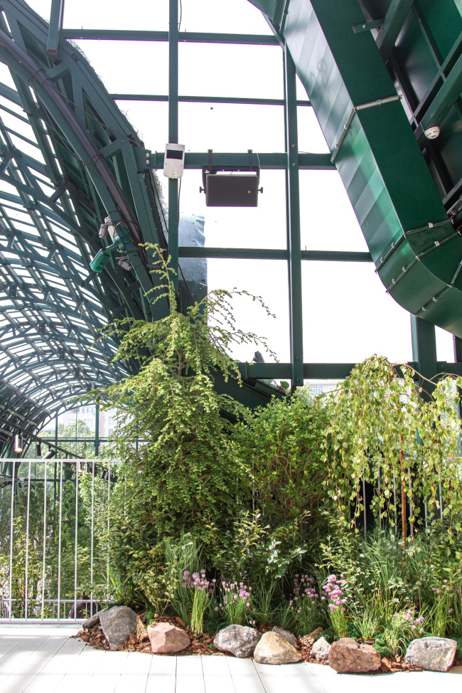 ������ ������