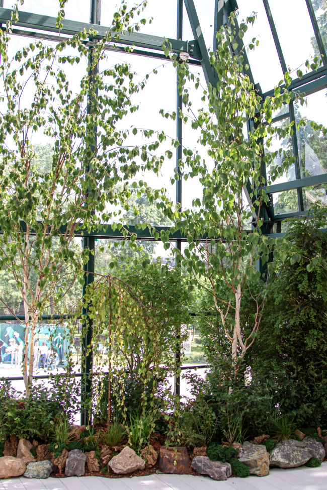 ������ ������