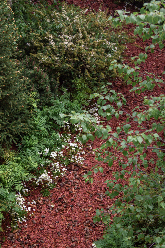 ������ ������