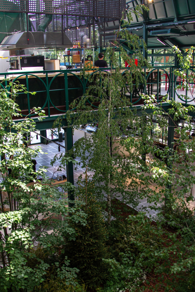 ������ ������