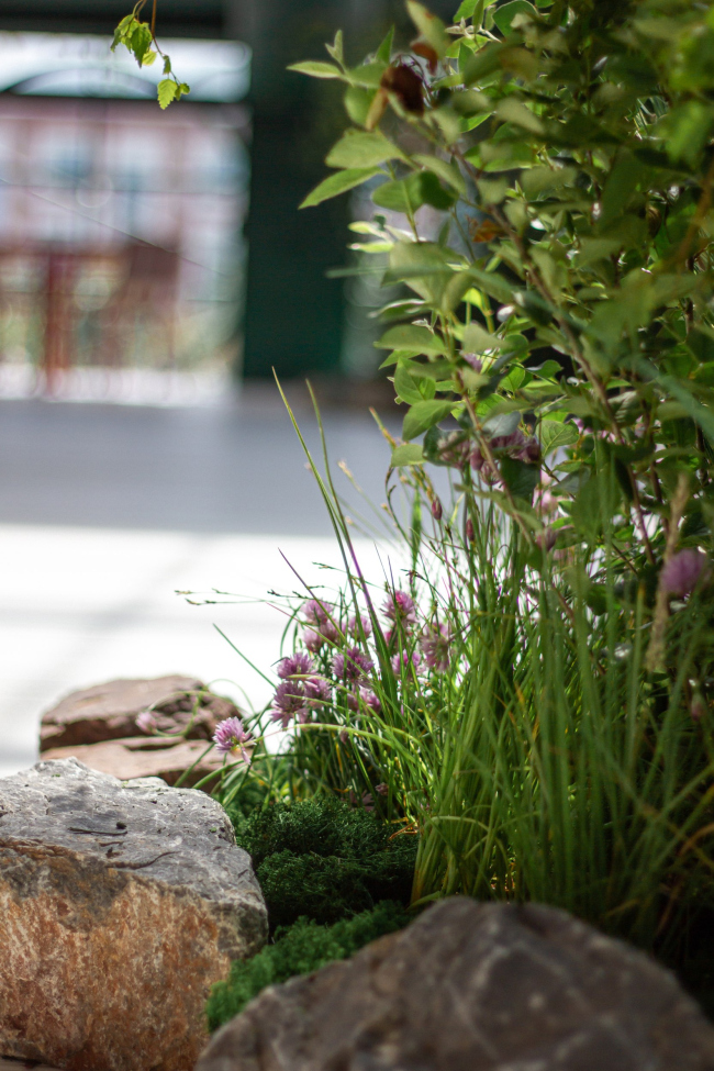 ������ ������