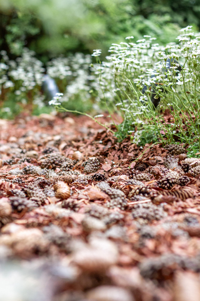 ������ ������