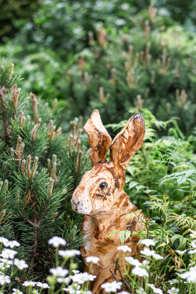 ������ ������