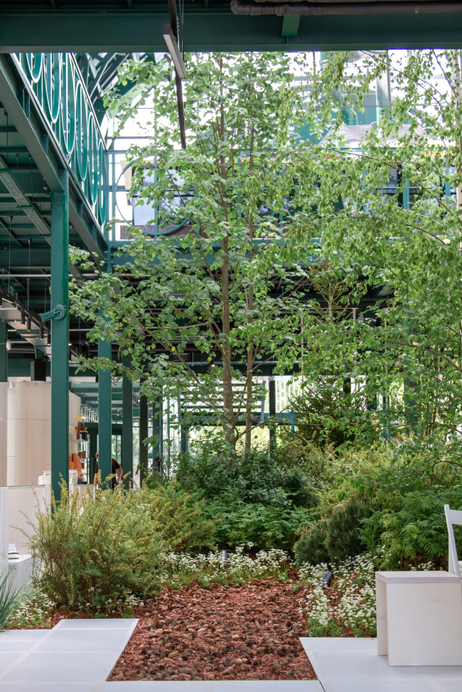 ������ ������