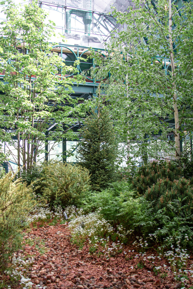 ������ ������