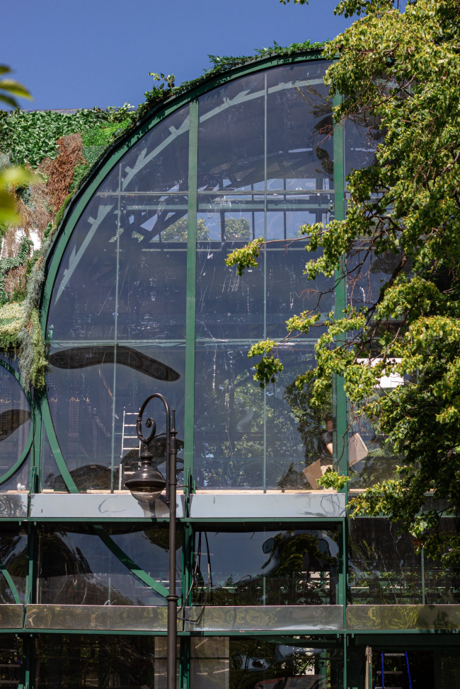 ������ ������