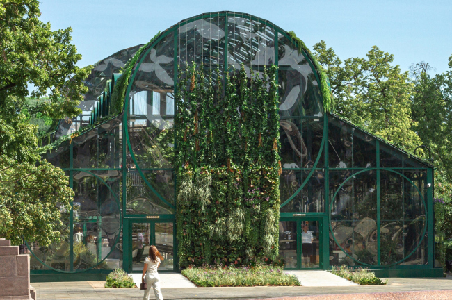 ������ ������