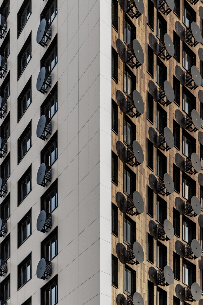 �� �������