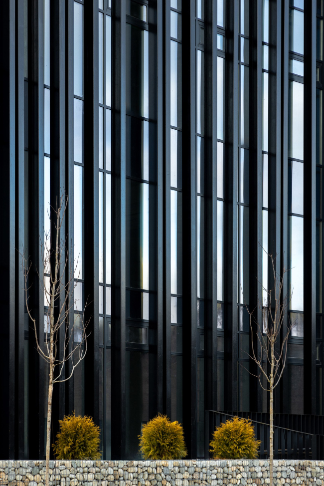 �� �������