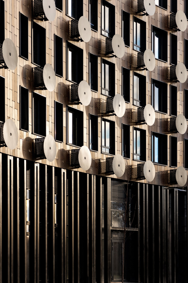 �� �������