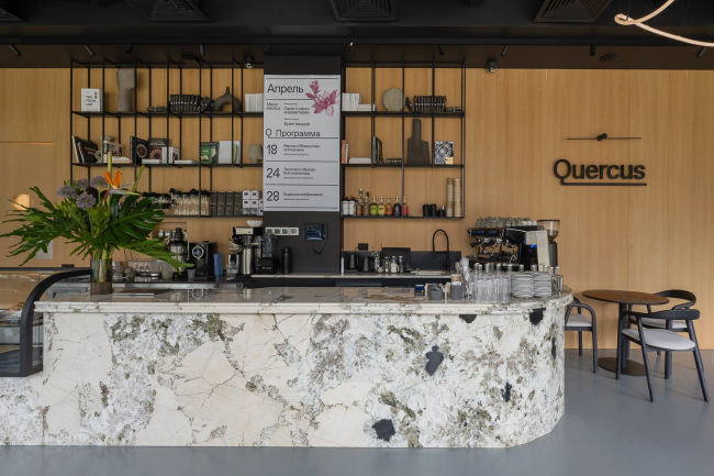 ����������� ���� � ���� Quercus