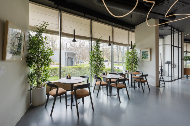 ����������� ���� � ���� Quercus