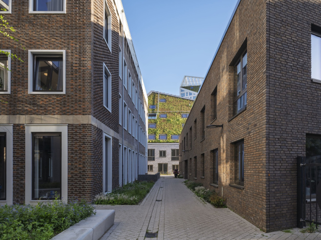 ����� �������� Nieuw Bergen
