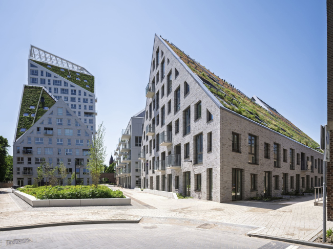 ����� �������� Nieuw Bergen