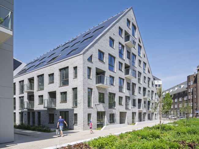 ����� �������� Nieuw Bergen