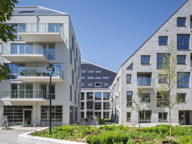 ����� �������� Nieuw Bergen