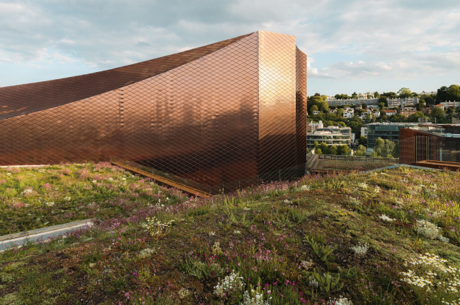 RCR Arquitectes. ���-����� Large � ��������� Pointe des Arts