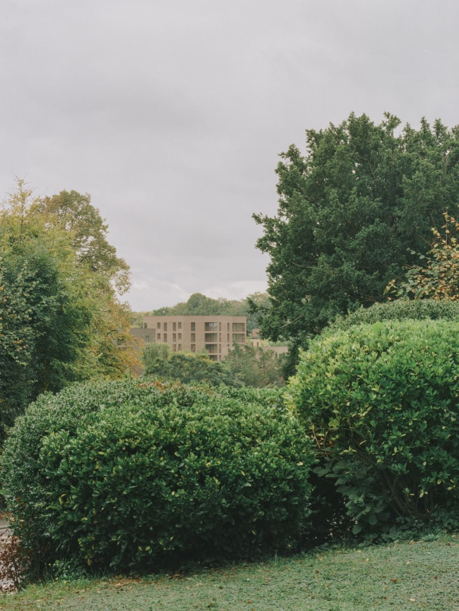 ����� �������� Lion Green Road, ��������, ������� ������