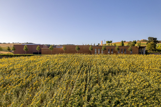 ���������� ������� Mancini Pastificio Agricolo