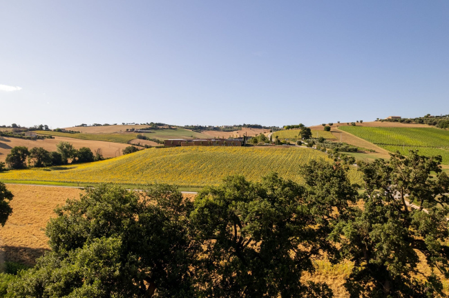 ���������� ������� Mancini Pastificio Agricolo