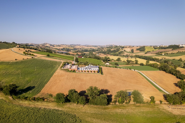 ���������� ������� Mancini Pastificio Agricolo