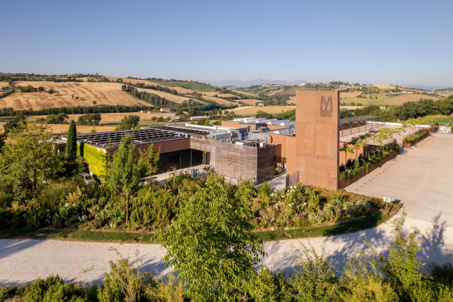 ���������� ������� Mancini Pastificio Agricolo