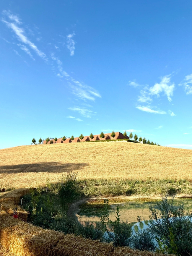 ���������� ������� Mancini Pastificio Agricolo