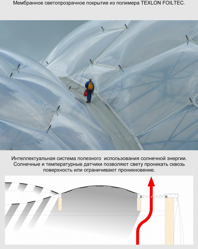 �������������� ��������� �������� ���. ARUP & ������������������� ����������-�������� �������� � ���������������� ������. ��������