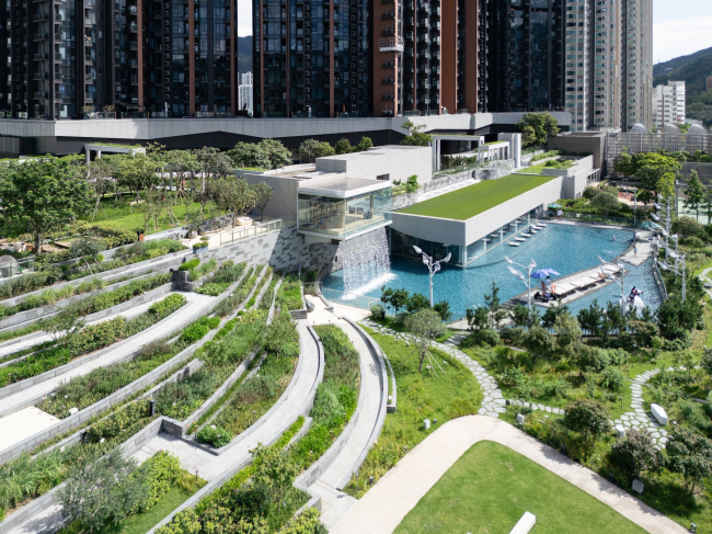 ���������-����� � ����� ��������� Pavilia Farm