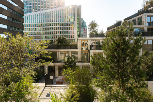 ����� �������� KJ Den Haag