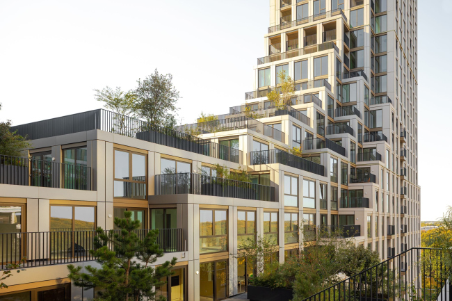 ����� �������� KJ Den Haag
