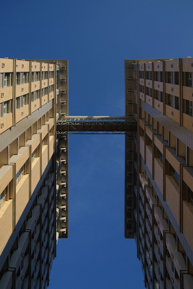 ����� �������� ���������� 