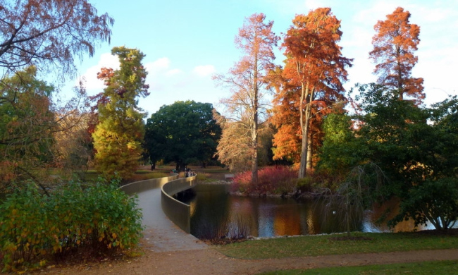 Переправа Сэклера в ботаническом саду Кью в Лондоне. Фото: Jonathan Billinger via Geograph. Лицензия CC BY-SA 2.0
