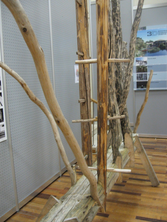 ������ �����. ���������� ���Ի