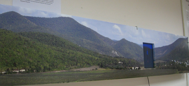 �����-�����. �8 �����