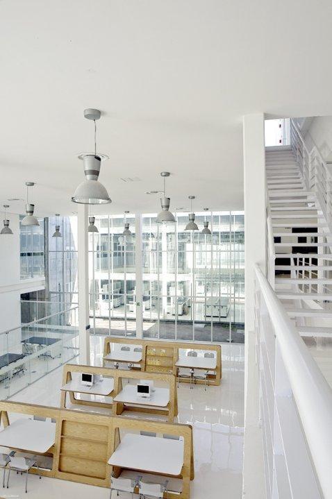 ������������ ����������� ��������