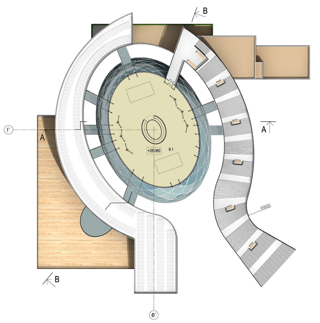 ���� ������� �����