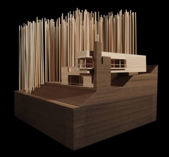 ���������� ������ MacKay-Lyons Sweetapple Architects