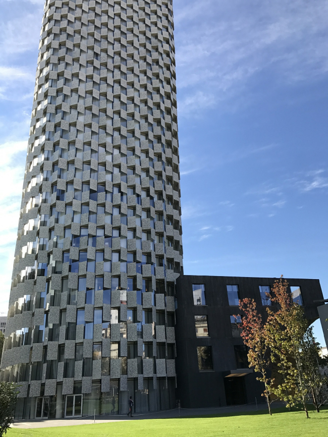 ����� TID. ����:  Kj1595 via Wikimedia Commons. �������� CC BY-SA 4.0