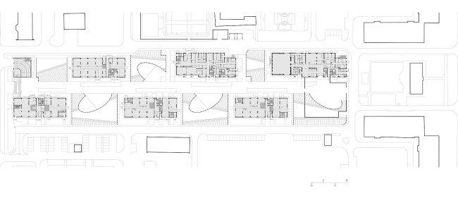 ���� ������� �����