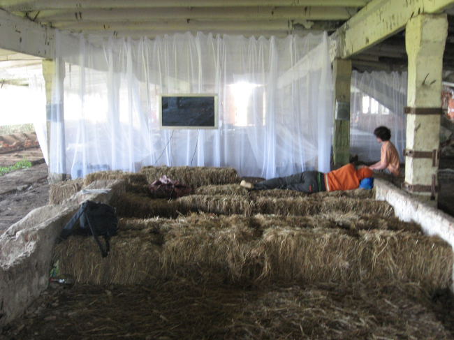 �������� �����������. �. �����, �. �������, �. �������