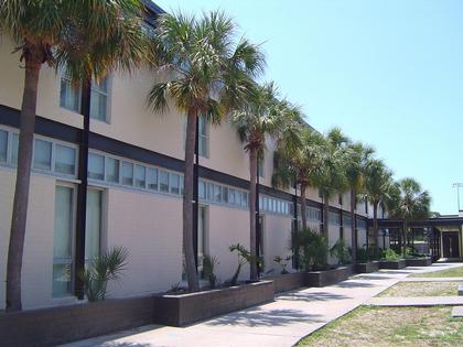 ����� ��������. ����������� ���