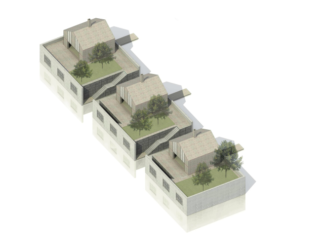 ������ ������