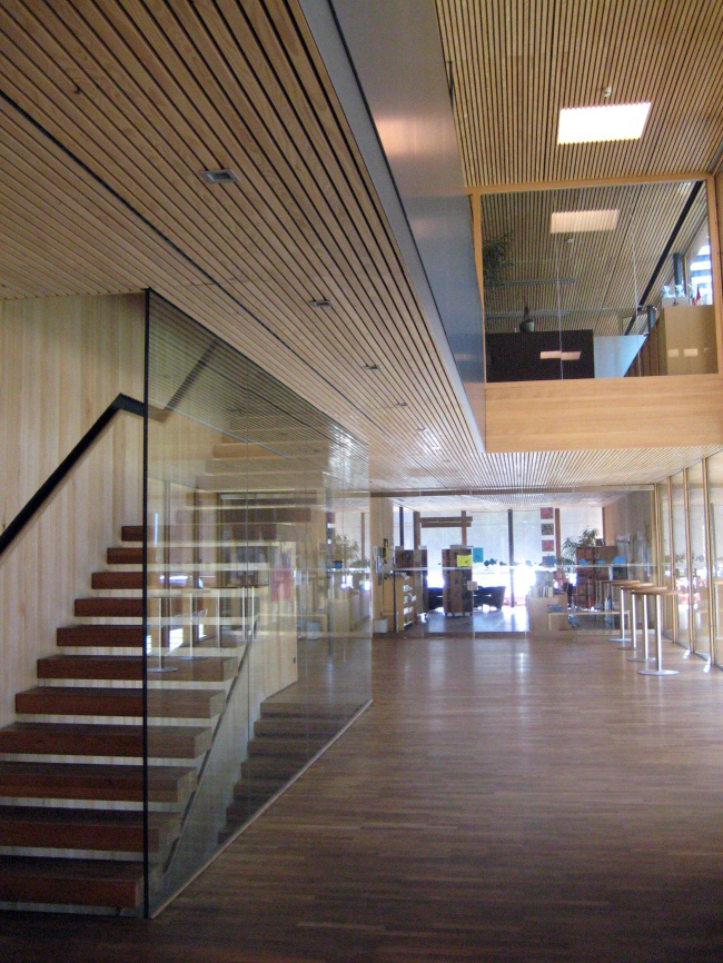 ���������������-������������ ����� � ������.  ����������: ������ ���������  